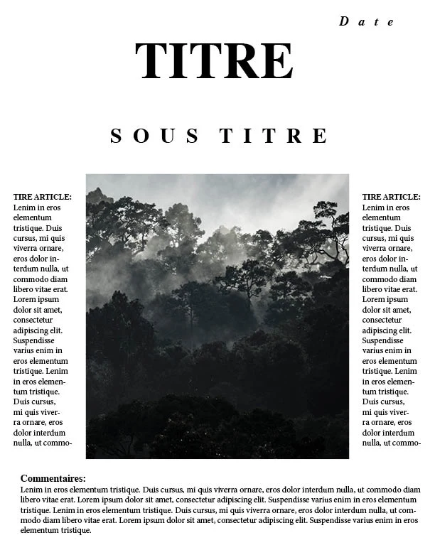 Newspaper Layout preview