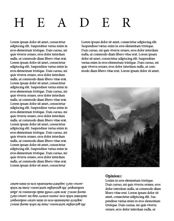Newspaper layout final design